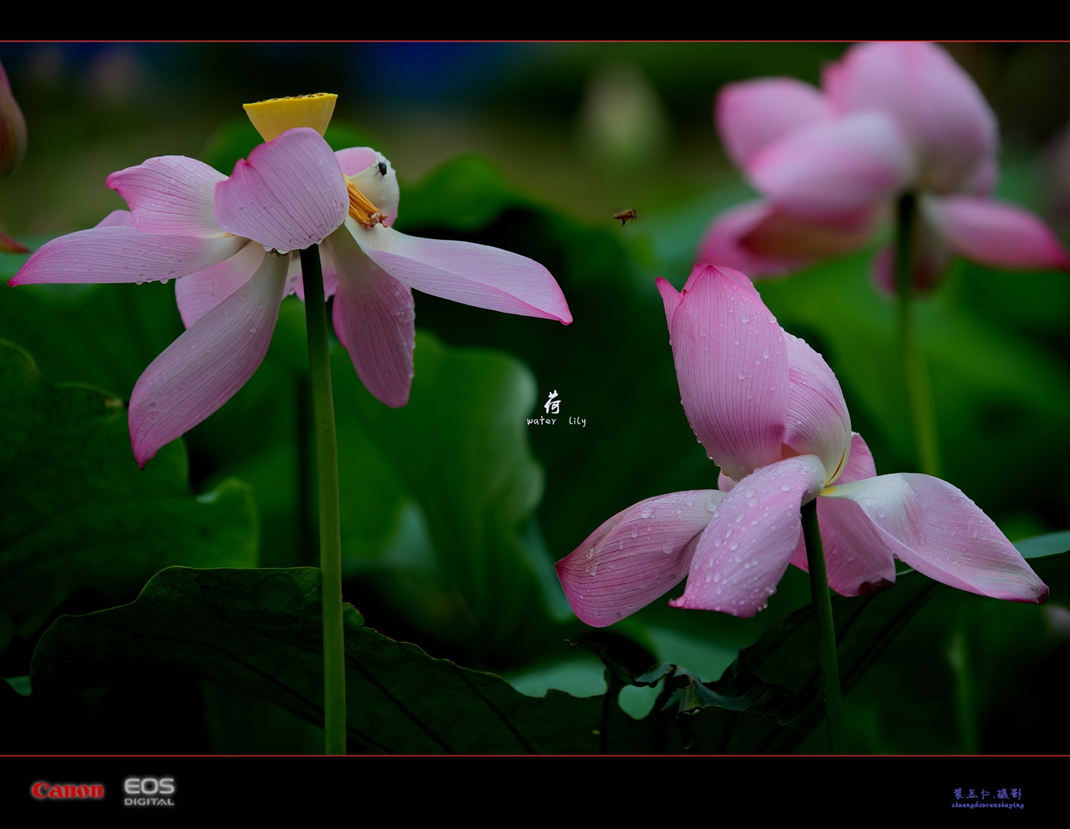 a02.jpg