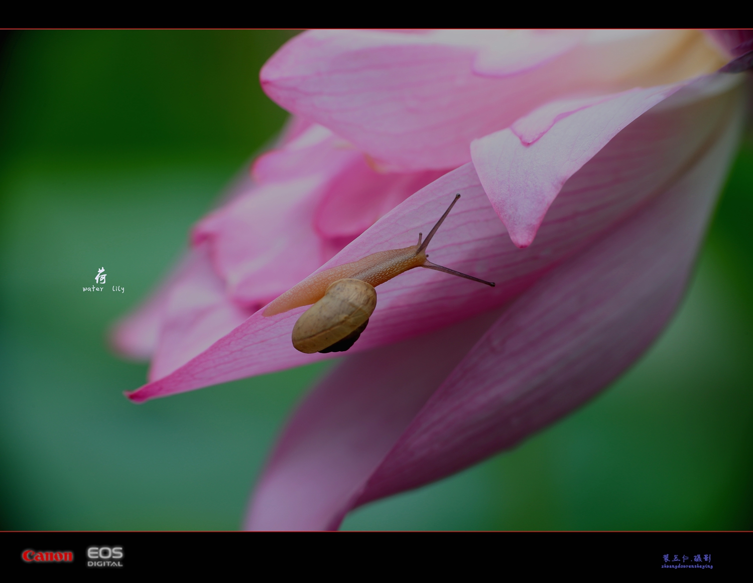 a03.jpg