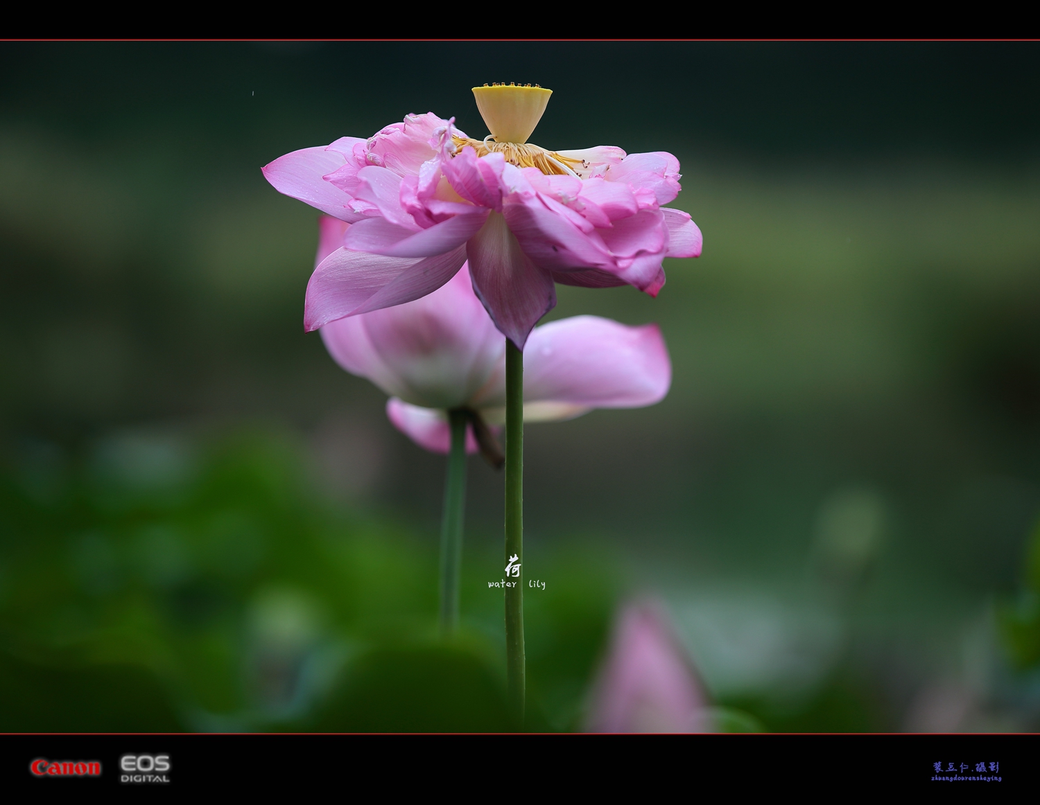 a07.jpg