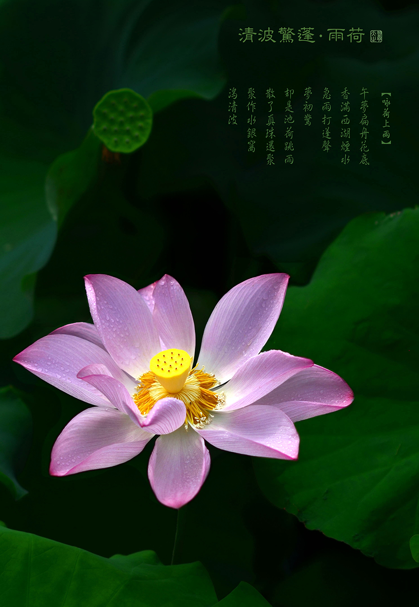 33_看图王.jpg