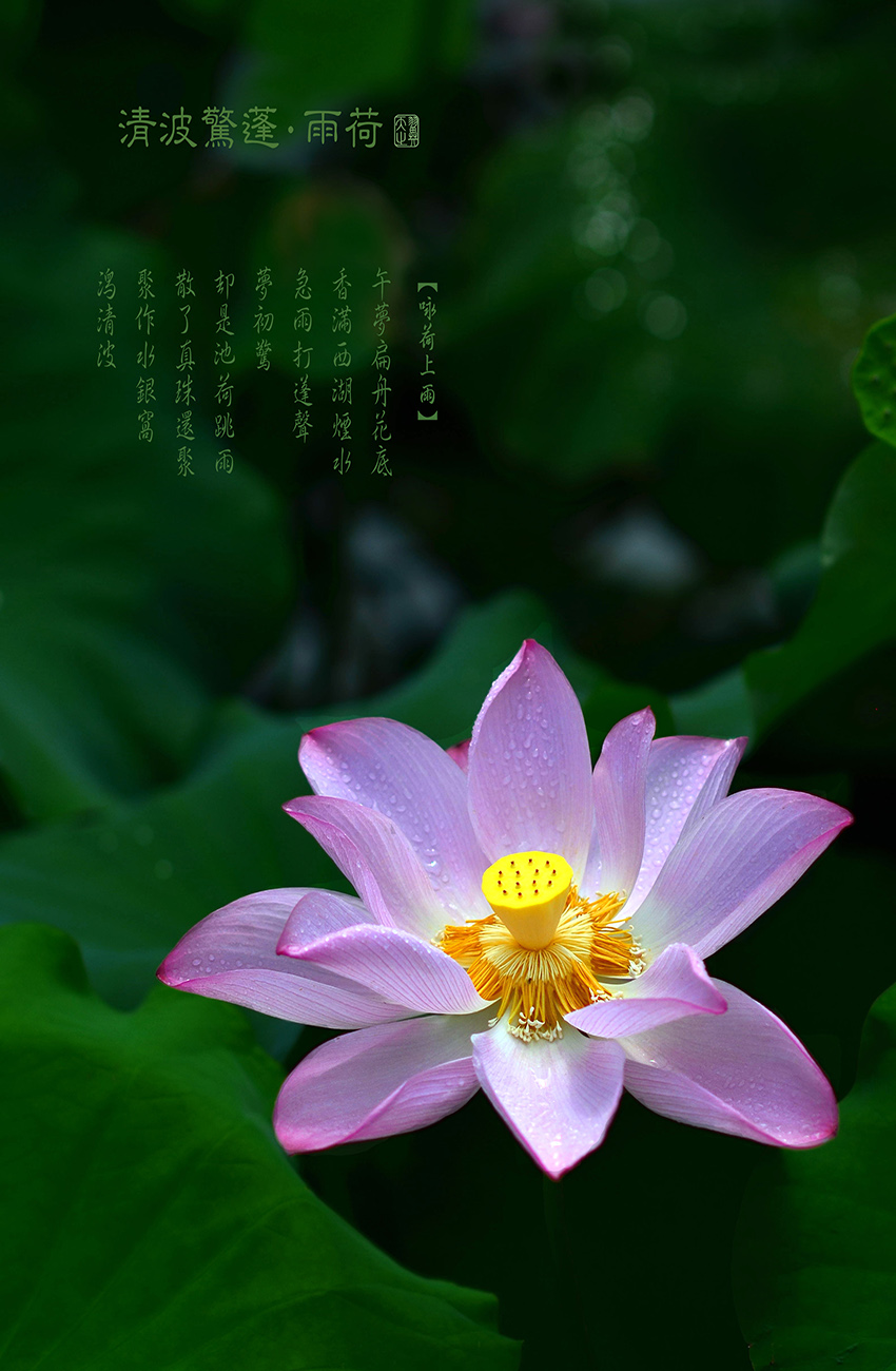 35_看图王.jpg