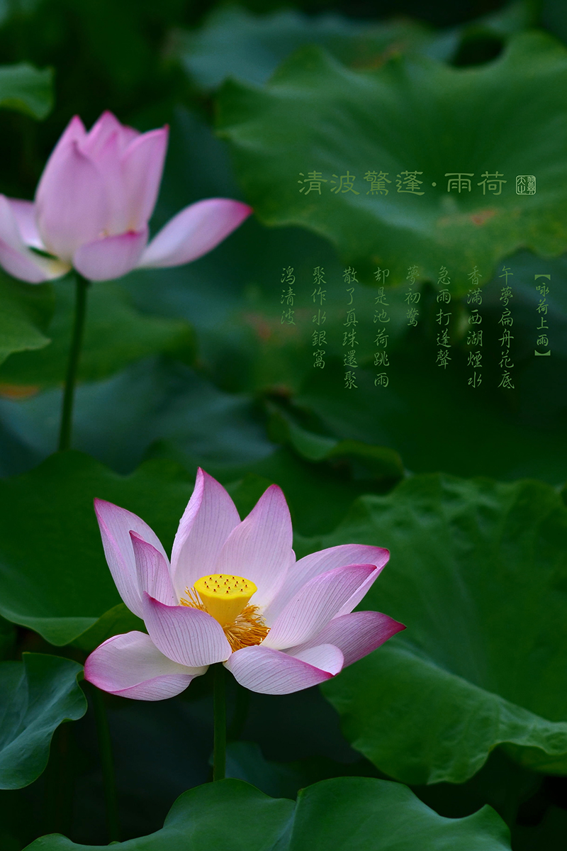 682_看图王.jpg