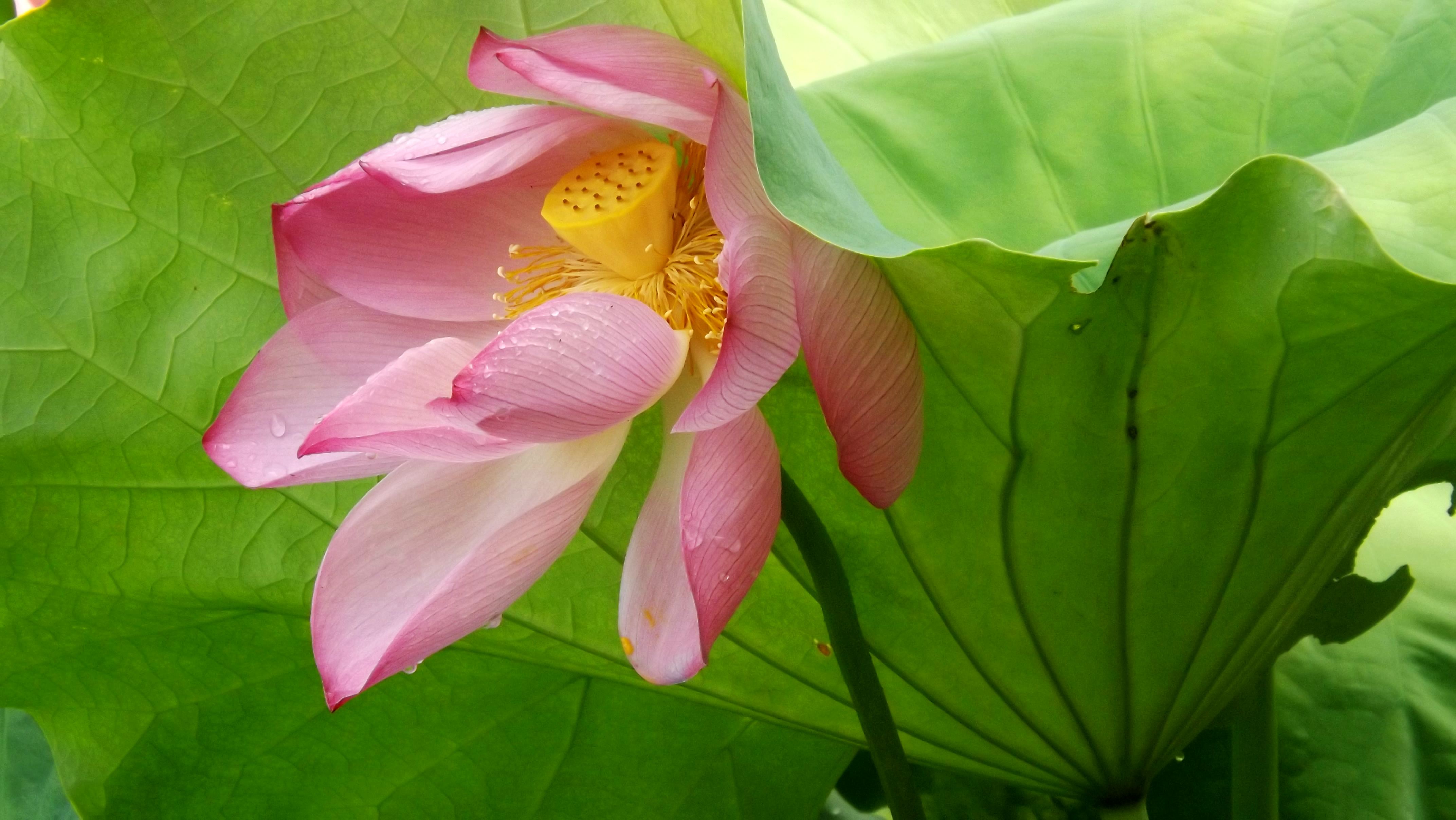 DSCF2964.jpg
