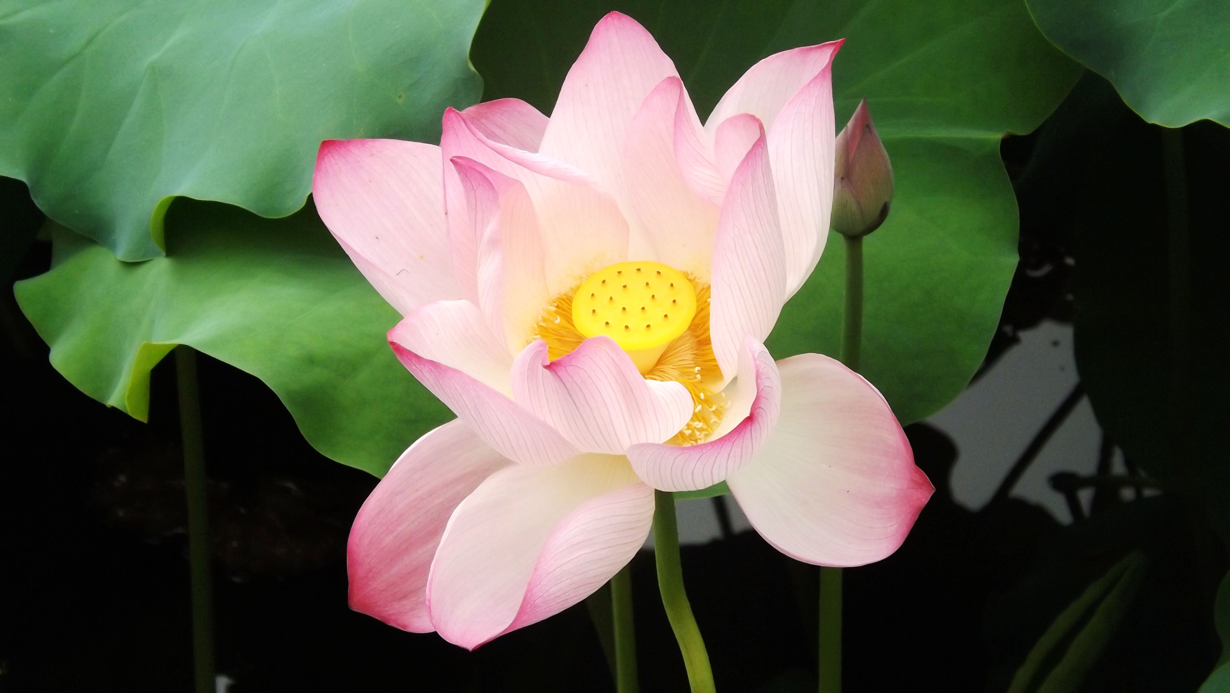 DSCF3149.jpg
