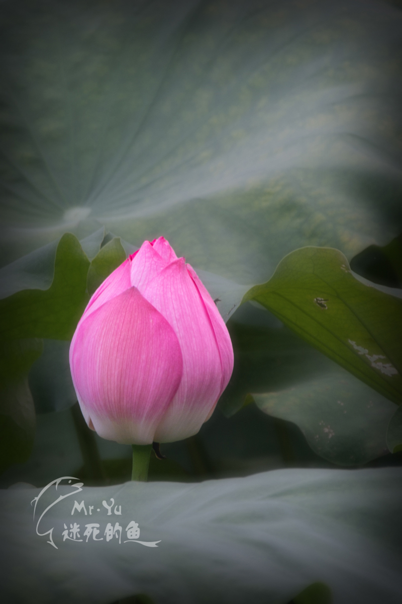 DSC_0016.jpg