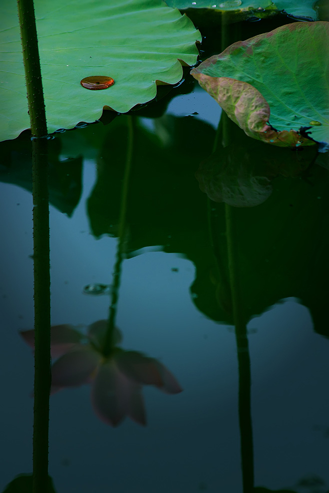 P6.jpg