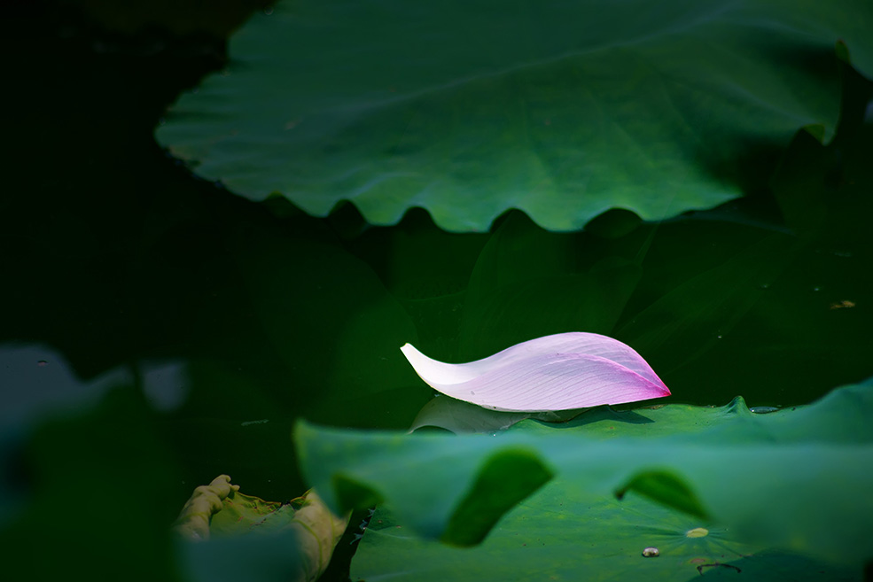 P8.jpg