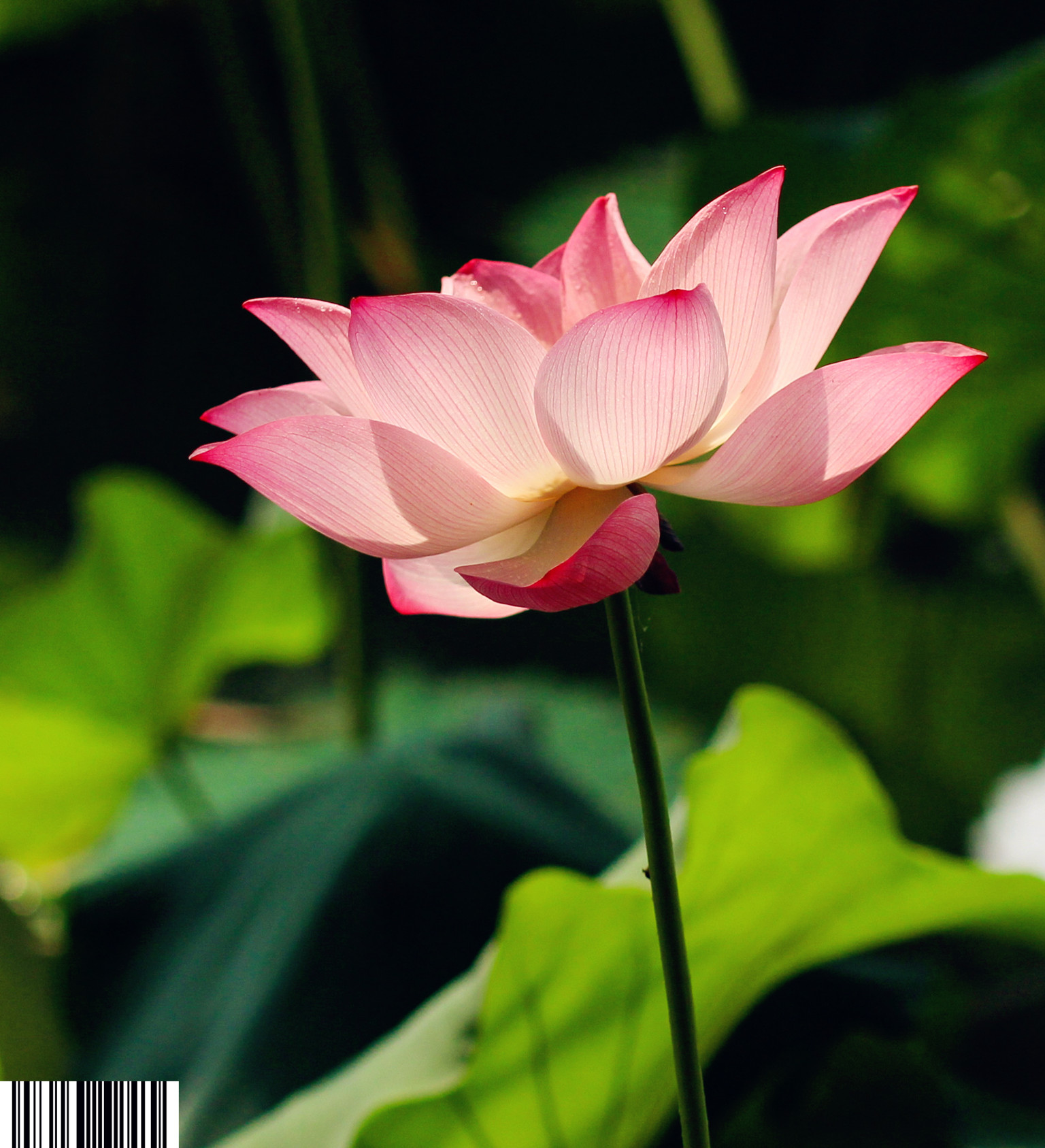 IMG_6910_副本_副本.jpg