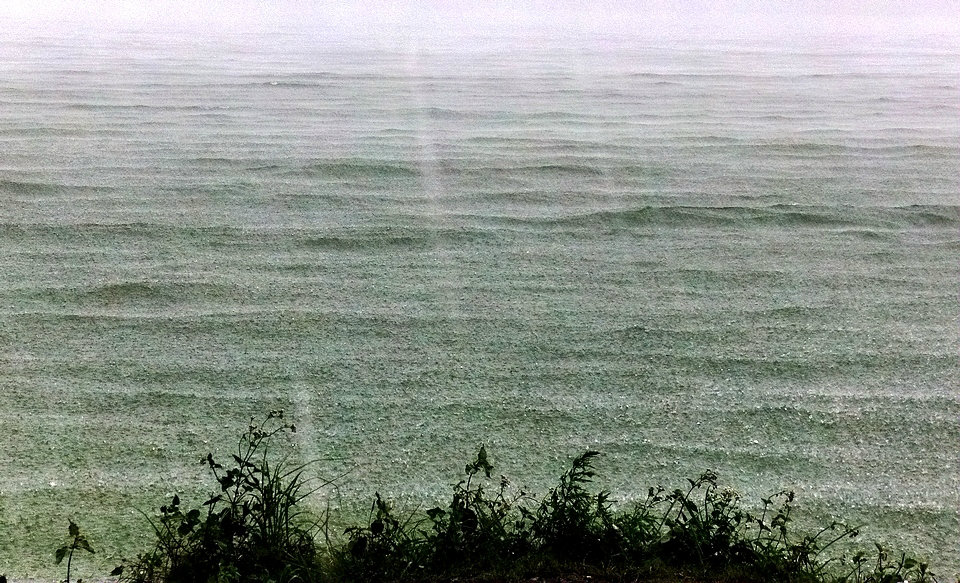 IMAG0042_nEO_IMG.jpg