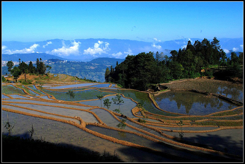 元阳梯田