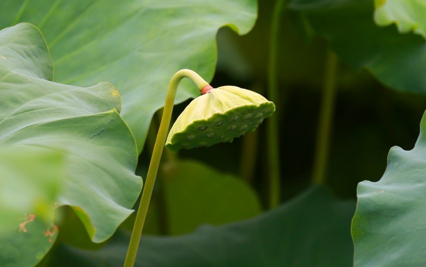 0S0A3357_conew2.JPG
