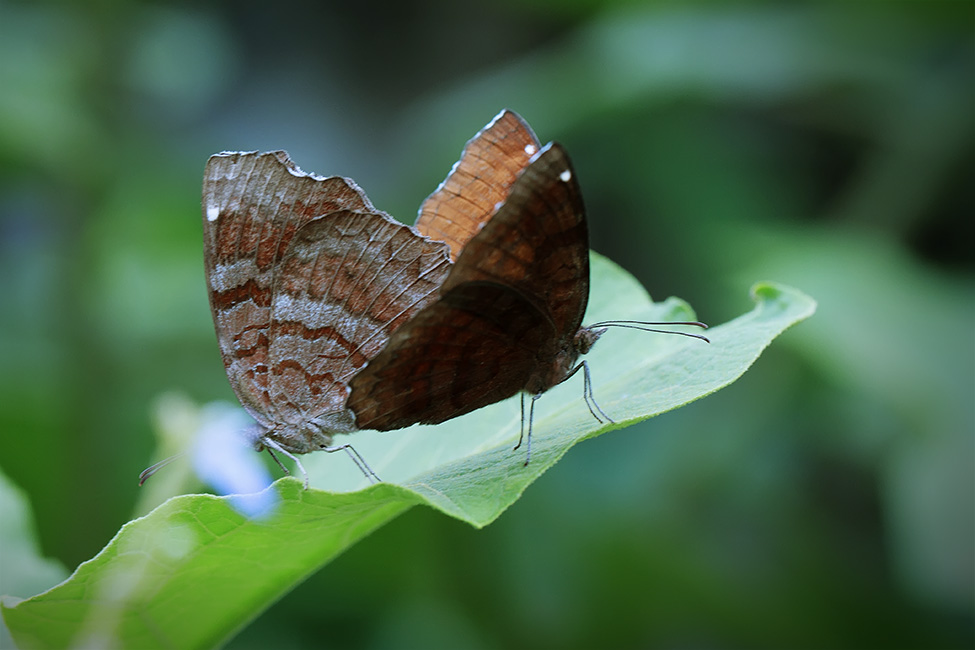 P6.jpg