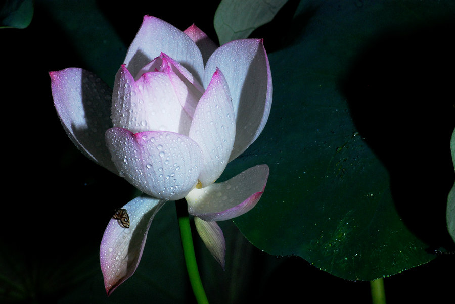 DSC_0931_鍓?湰.jpg