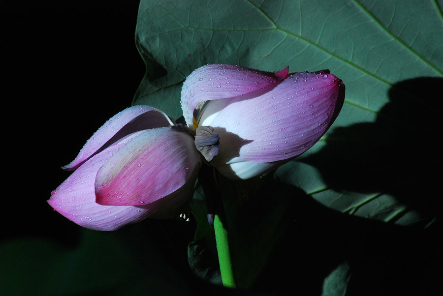 DSC_0848_鍓?湰.jpg