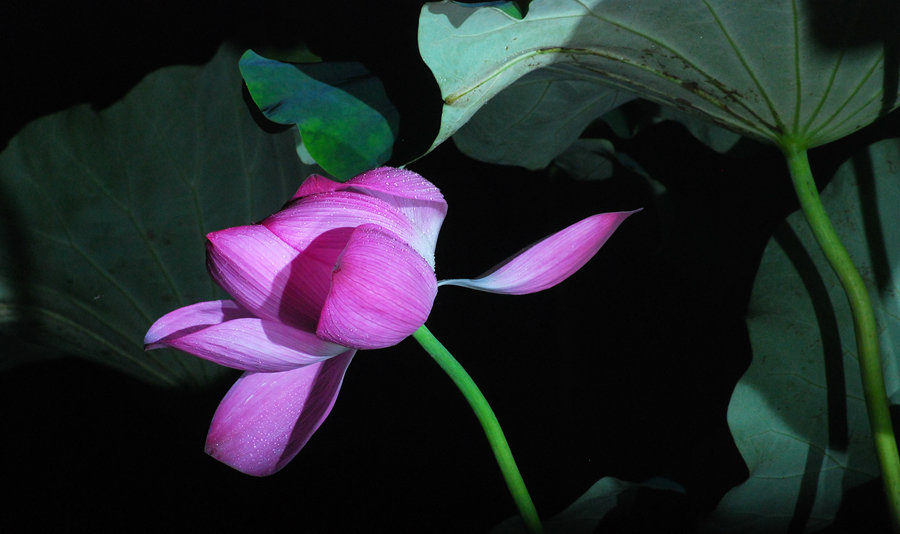 DSC_0870_鍓?湰.jpg