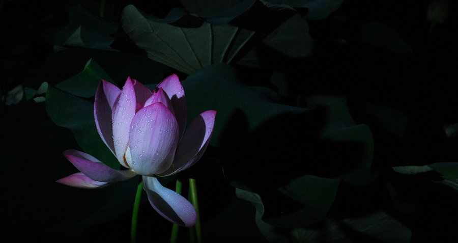 DSC_0875_鍓?湰.jpg
