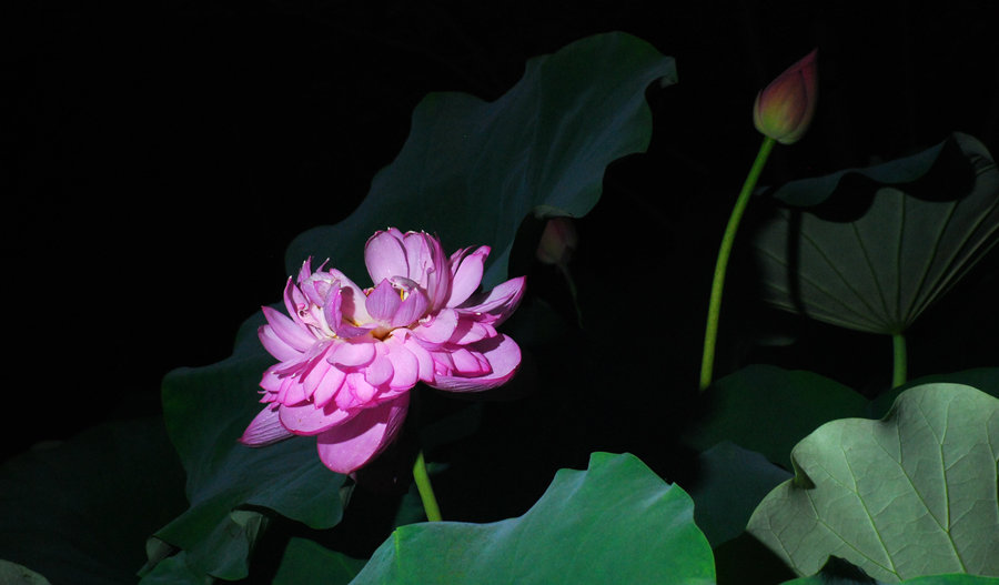 DSC_0899_鍓?湰.jpg