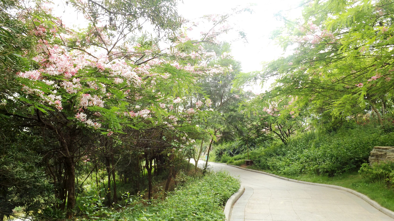 DSCF3258.JPG