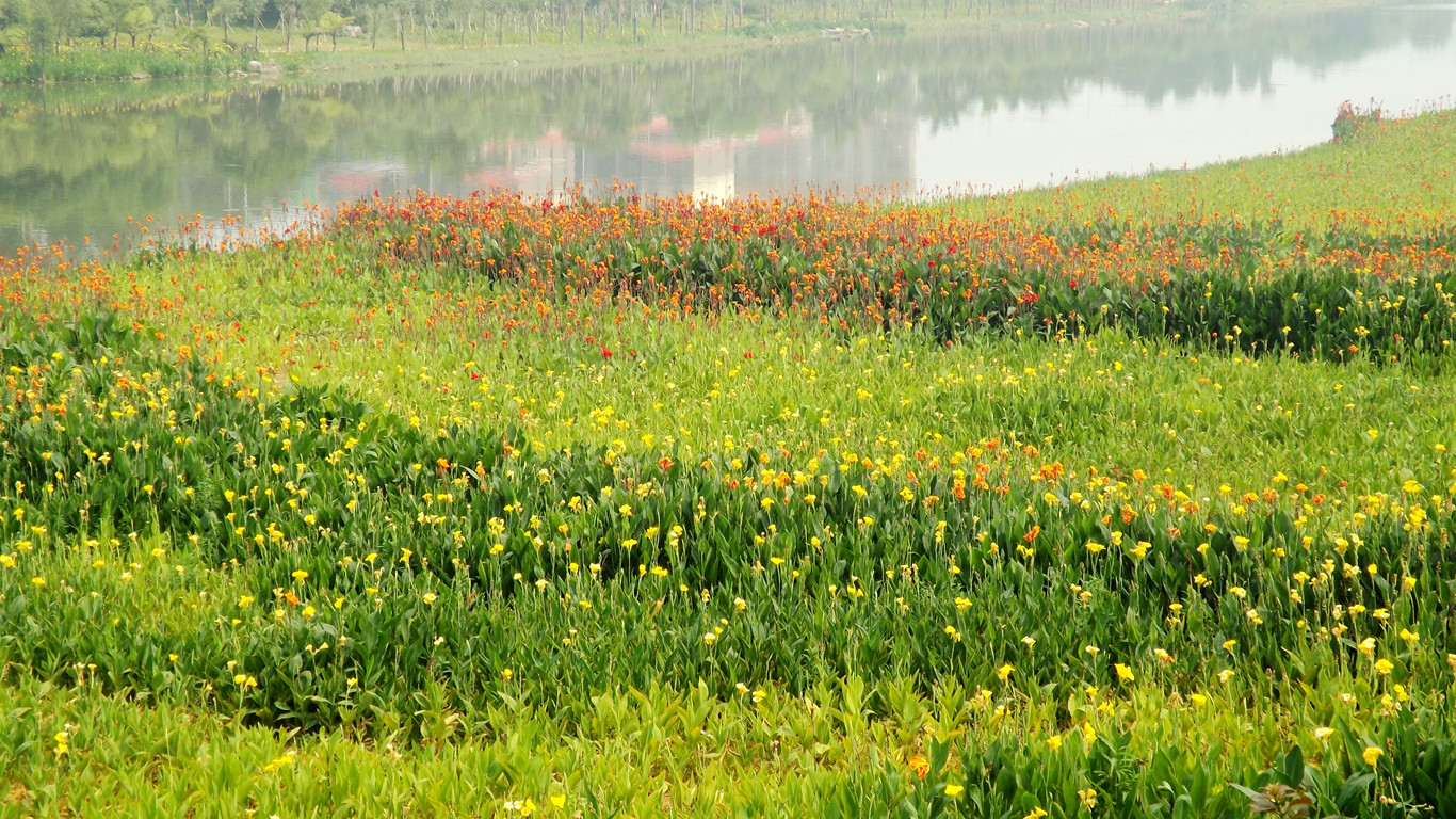 DSCF3328.JPG