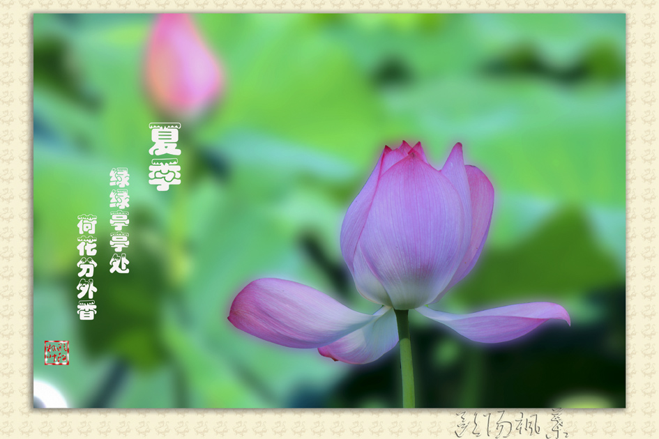 夏季.jpg
