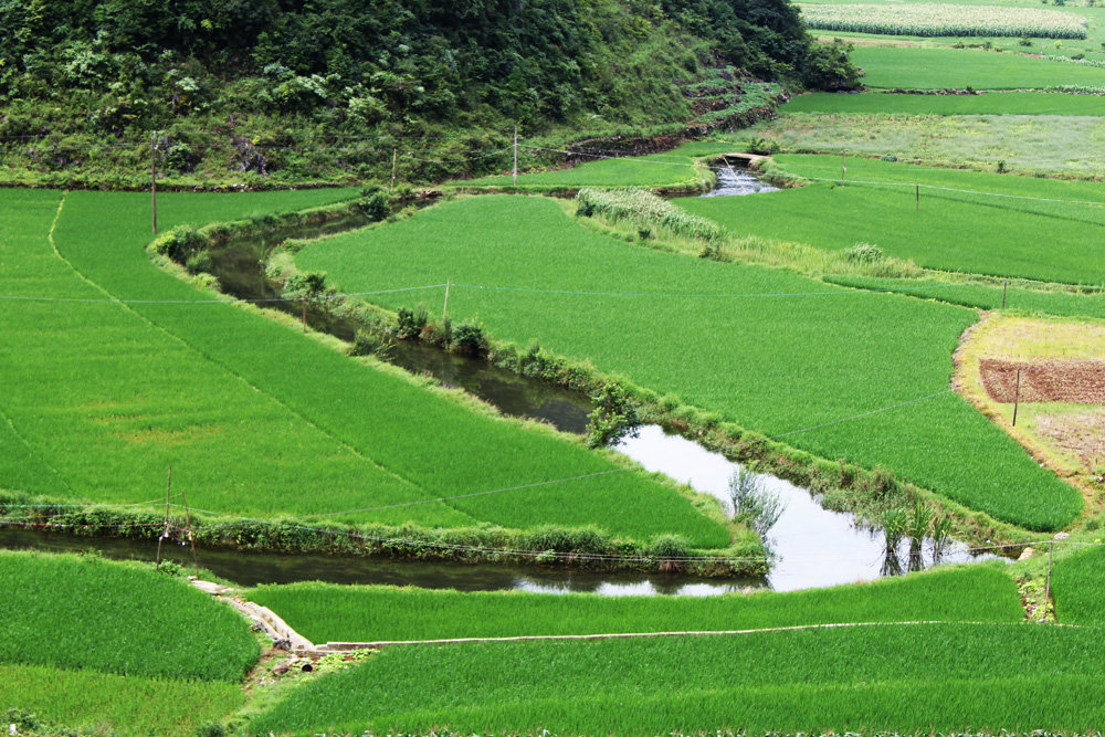 小河弯弯