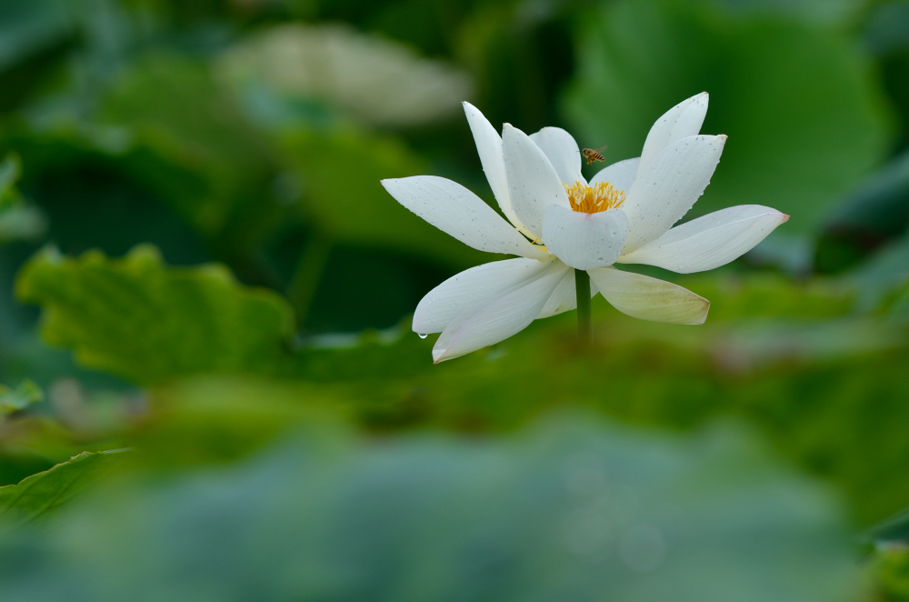DSC_5686.JPG