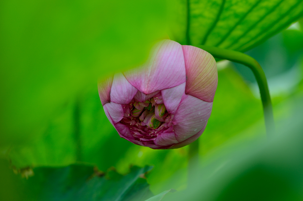 DSC_5798.JPG