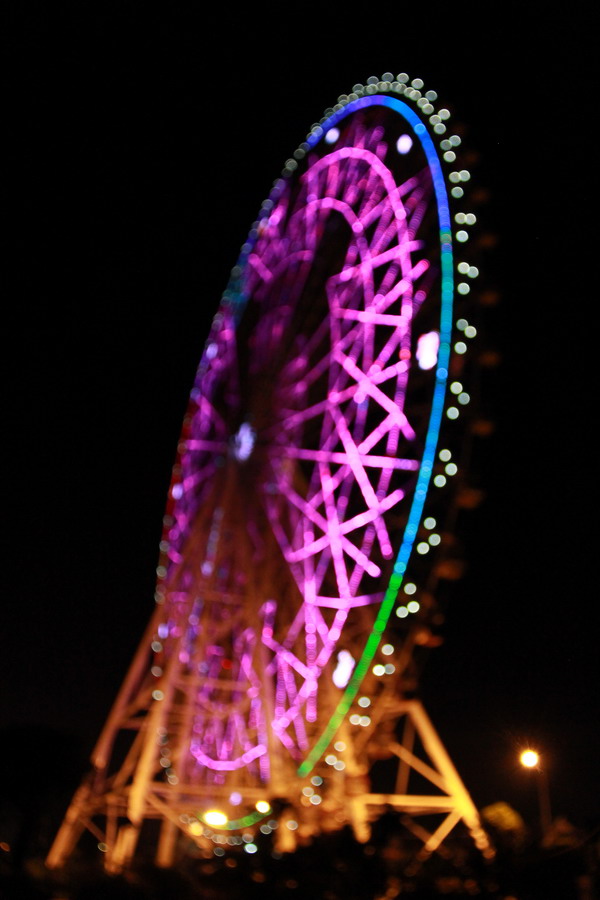 IMG_8079_缩小大小.JPG