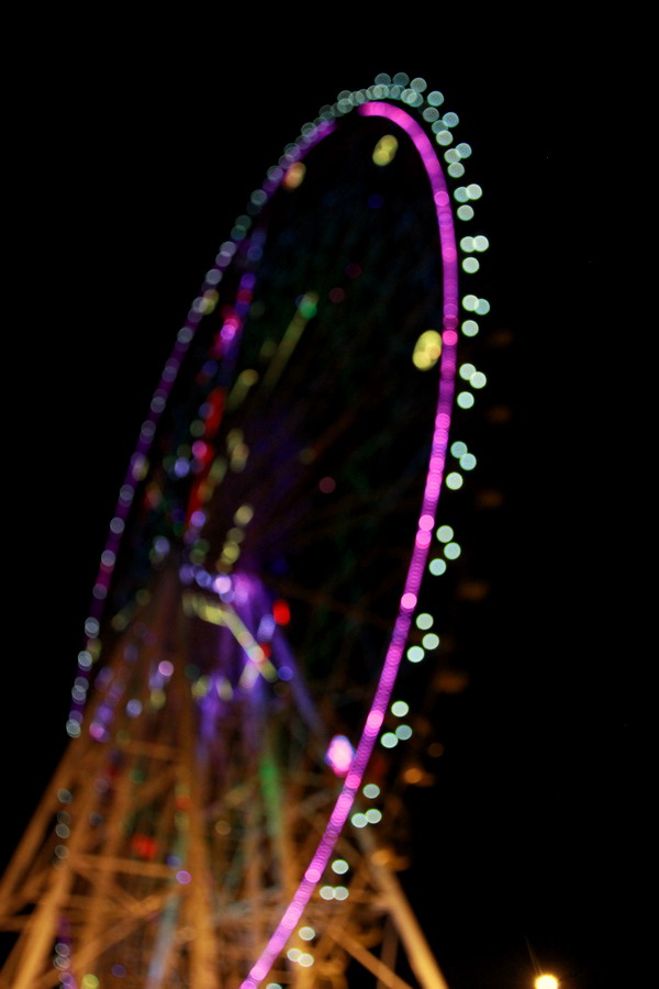 IMG_8084_缩小大小.JPG