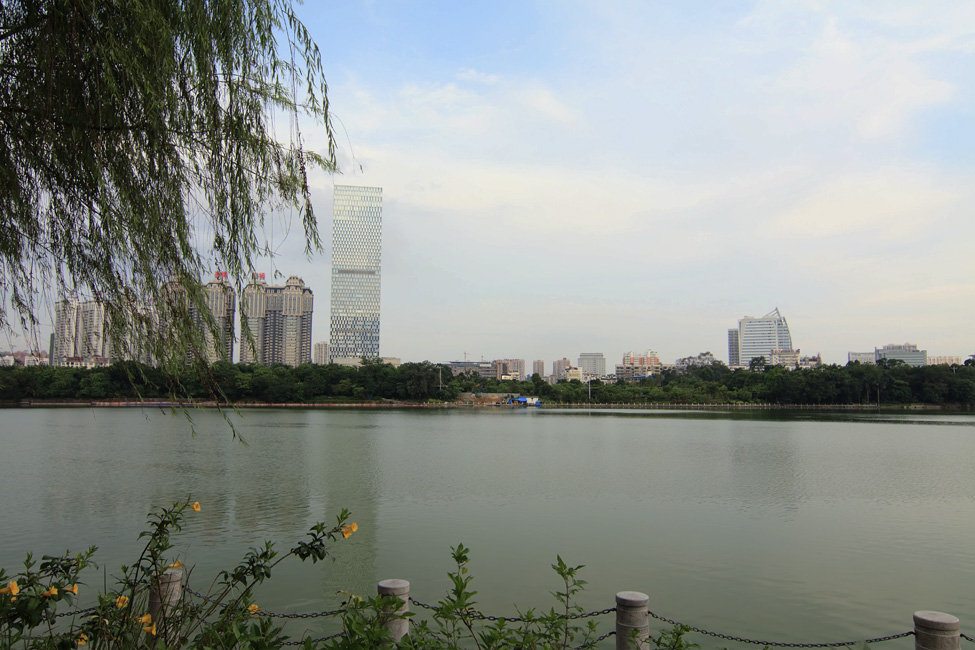 P2.jpg