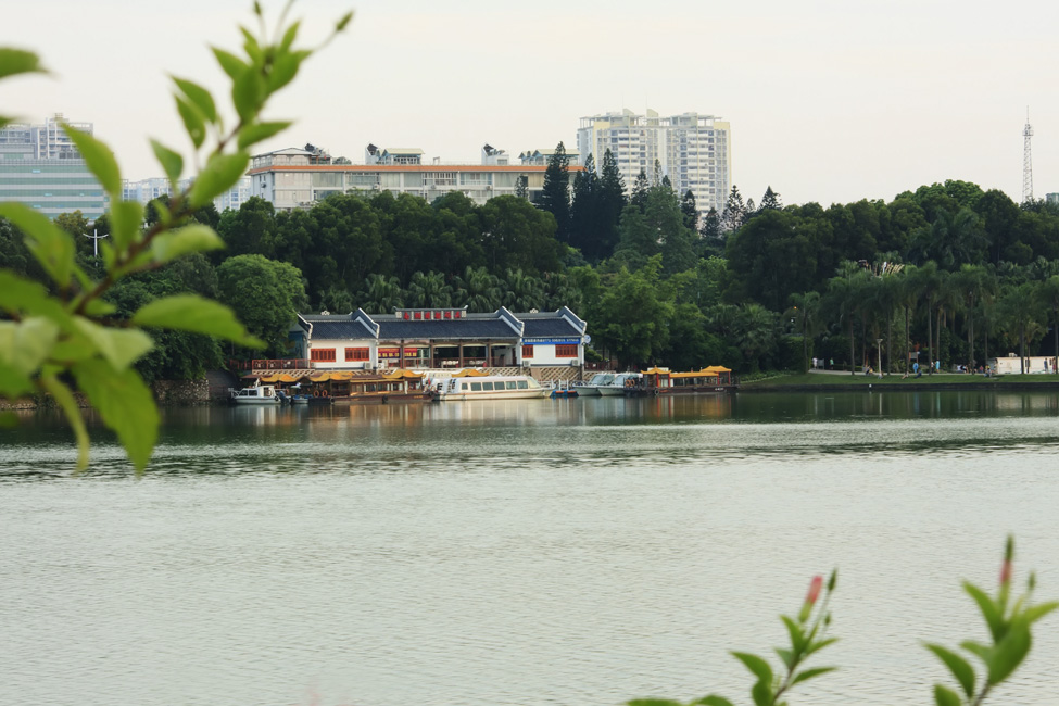 P6.jpg