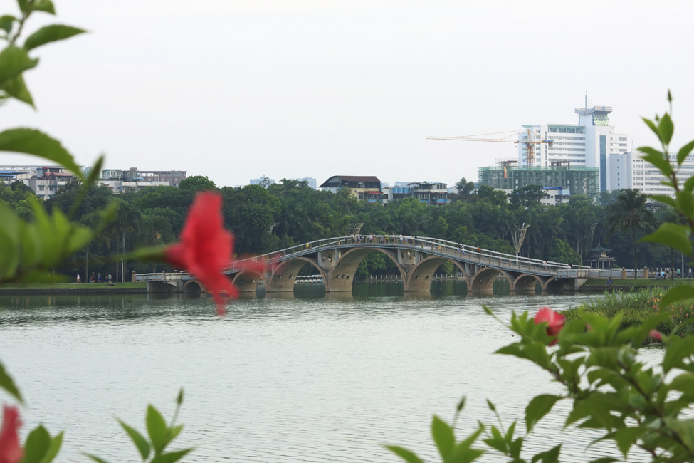 P7.jpg
