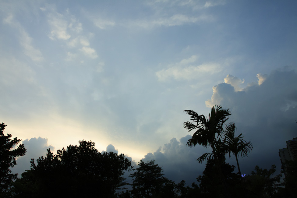P8.jpg