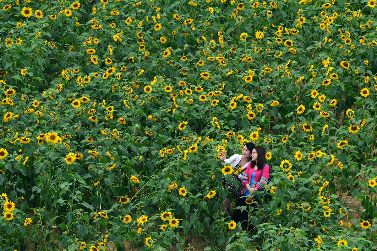 花季1.jpg