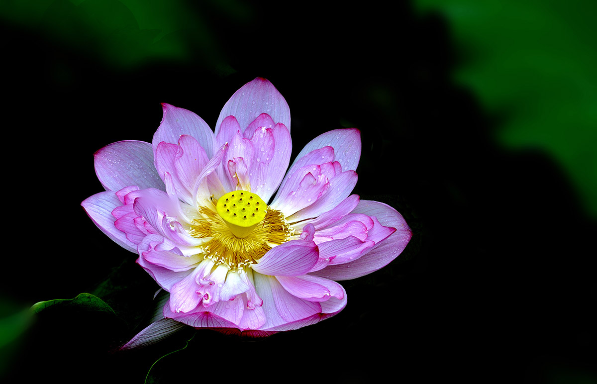 _D8A3990.jpg
