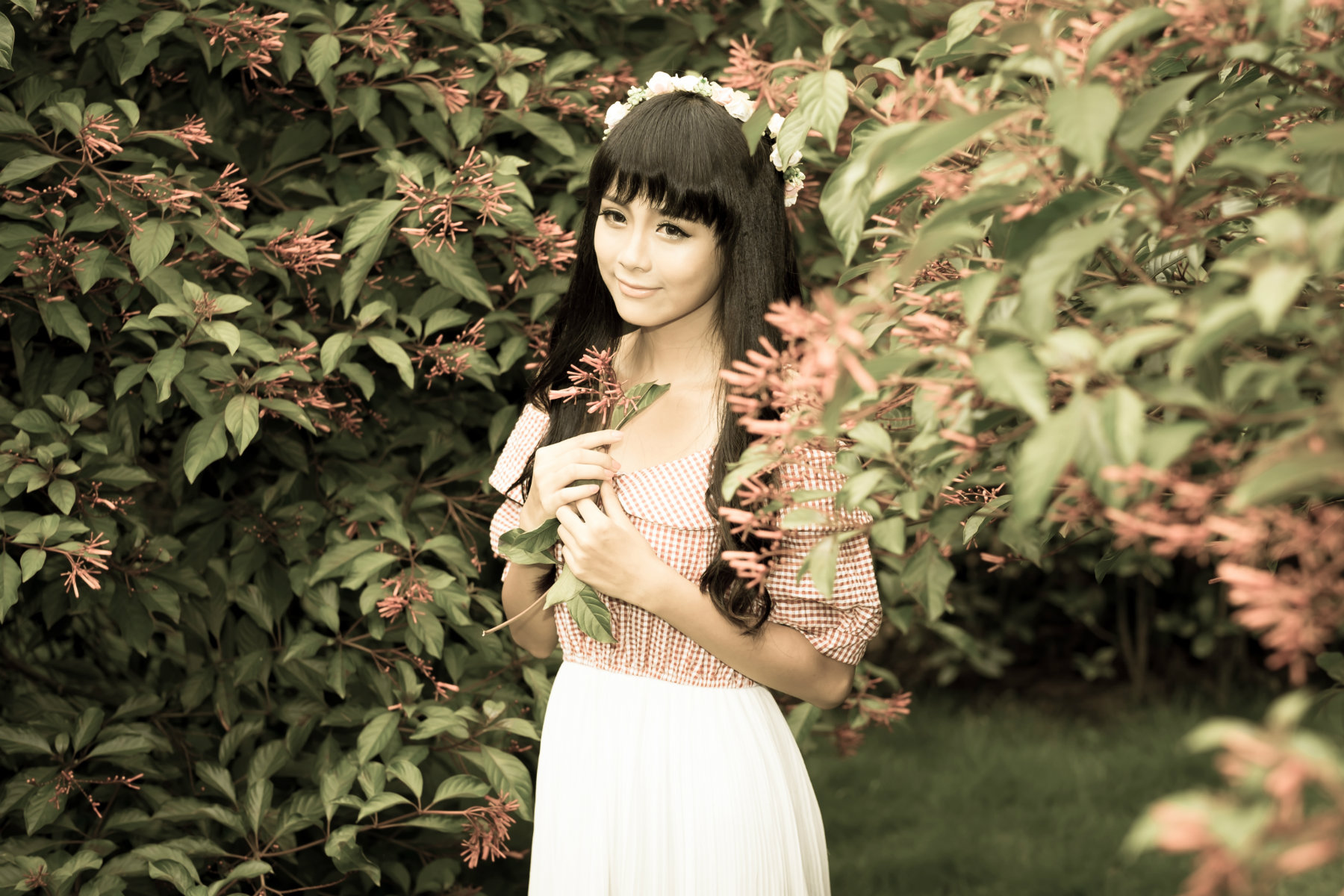 DSCF5337.jpg