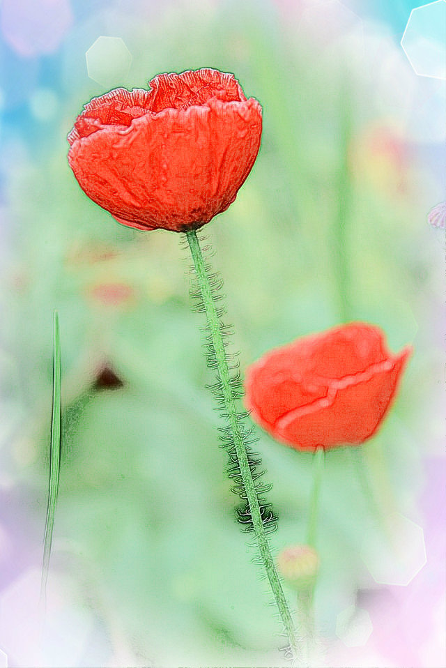 psbCABBV2D4_鍓?湰.jpg