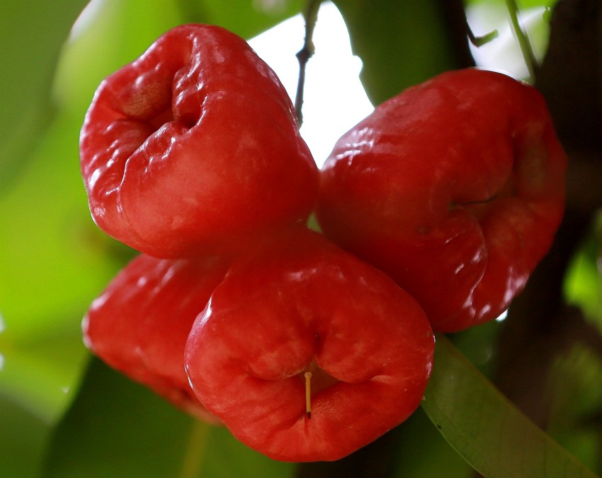 0S0A4007_conew2.JPG