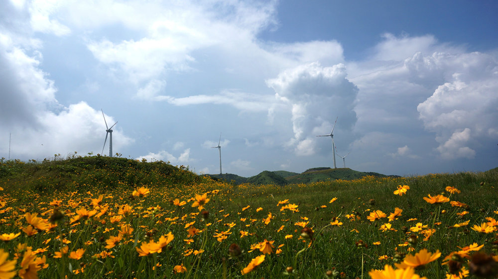 DSC08862_鍓?湰05.jpg