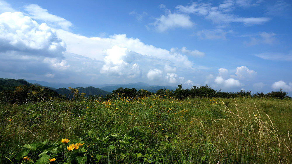 DSC08874_鍓?湰12.jpg