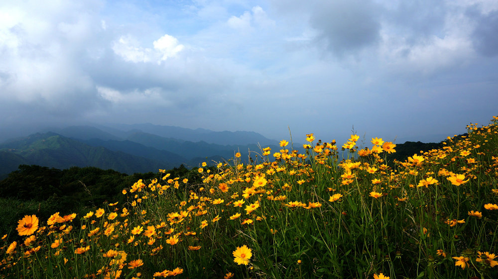 DSC08901_鍓?湰18.jpg