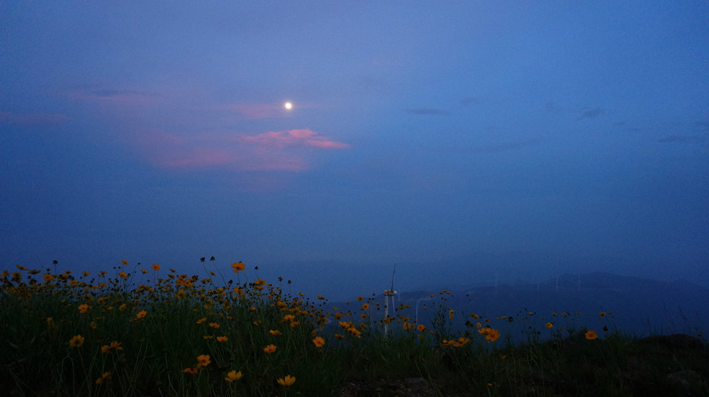 DSC08991_鍓?湰59.jpg