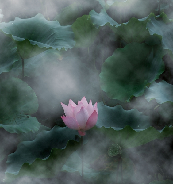 DSCF76401.jpg