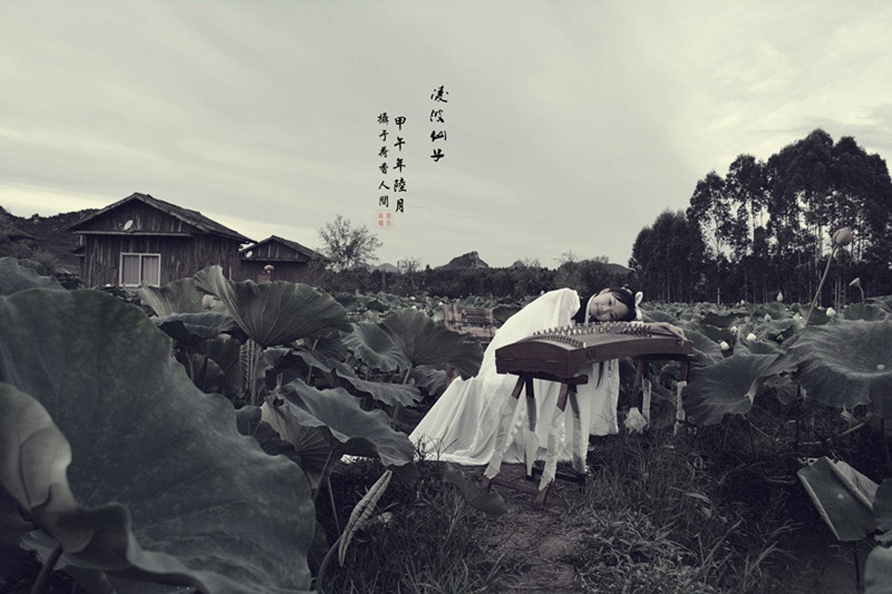 DSC_0017_副本.jpg