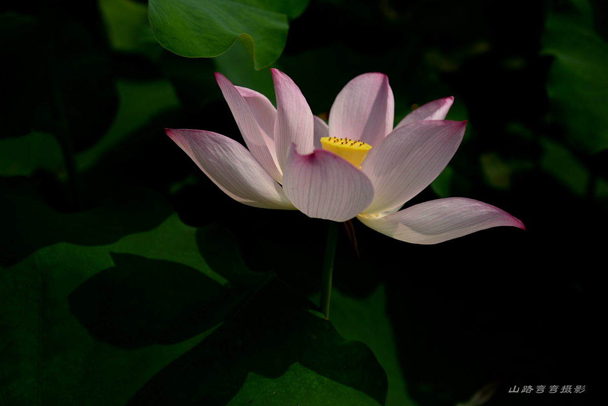DSC_4135.JPG