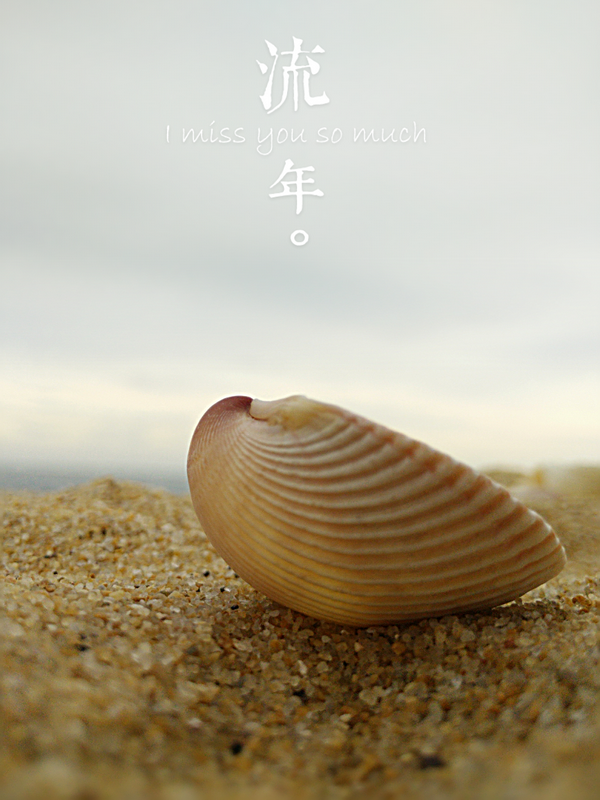 IMG_20140727_7_缩小大小.png