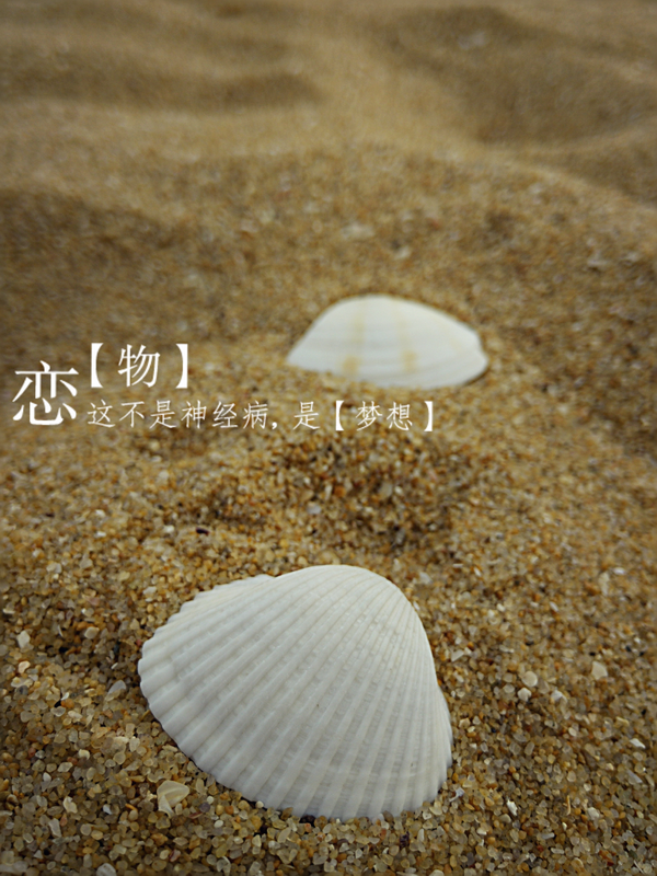 IMG_20140727_14_缩小大小.png