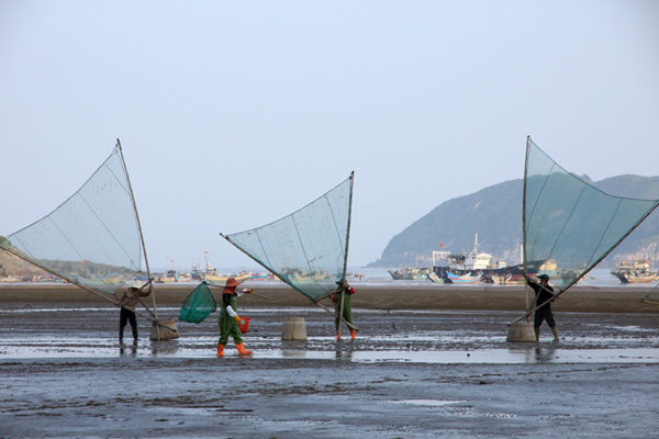 霞浦风光.jpg