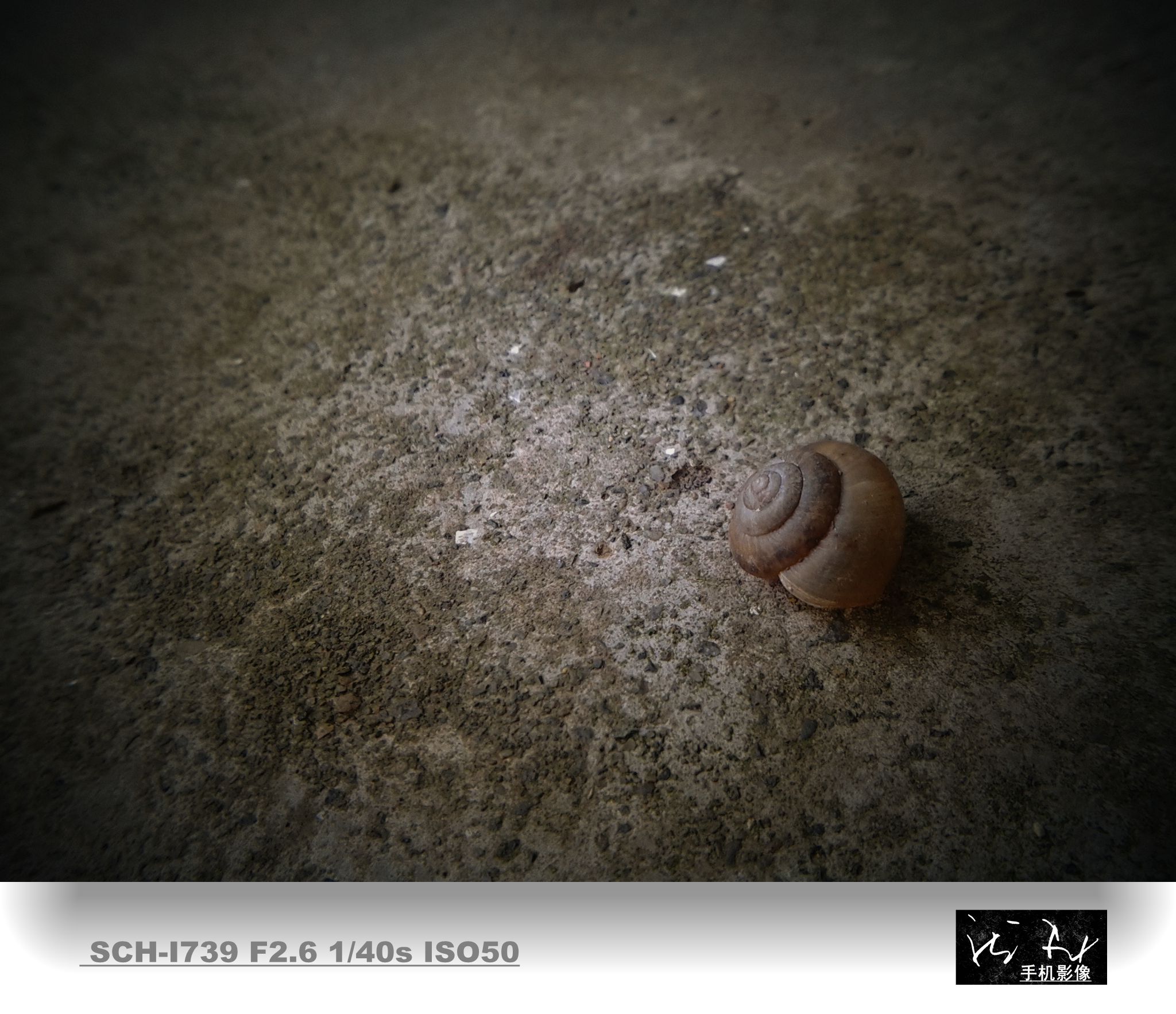 20140730_102007_副本.jpg