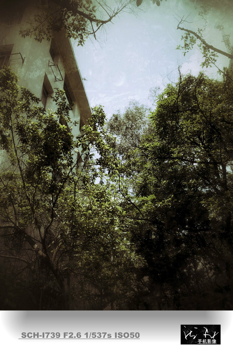 20140731_130355_1_鍓?湰.jpg